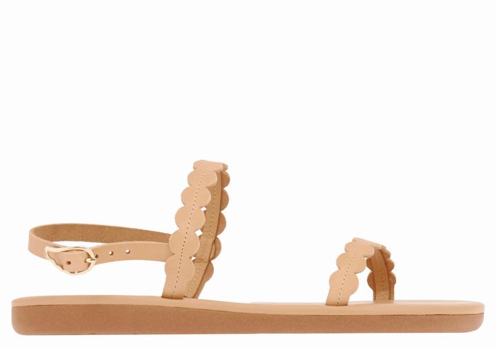 Sandales Bride Arrière Ancient Greek Sandals Aroula   | BAD-4913019